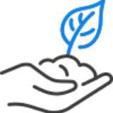 A hand is holding a leaf.